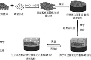 新型分子印迹聚合物芦丁电化学传感器的制备方法