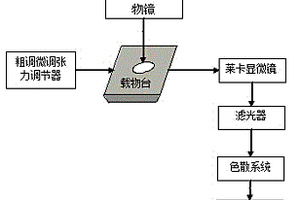 转基因水稻种子及其亲本的快速检测方法及其专用装置
