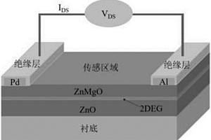 基于氧化物异质结的极性溶剂化学传感器及制备方法