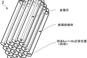 电化学导线电极阵列及相应制造过程
