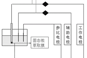 复杂体系中化合物的萃取、检测装置及方法