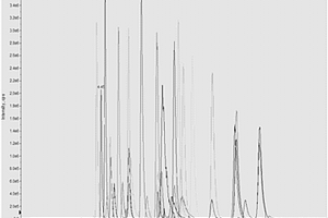 基于UHPLC-QTrap MS检测斑马鱼脑组织中鞘脂的方法