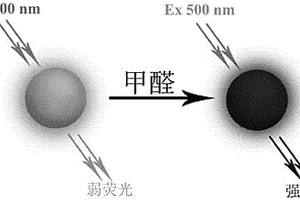 能检测甲醛的水溶性荧光碳点传感器的制备及应用