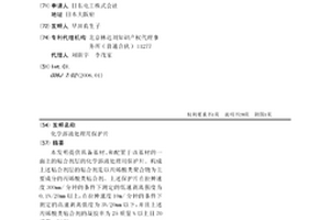 化学溶液处理用保护片