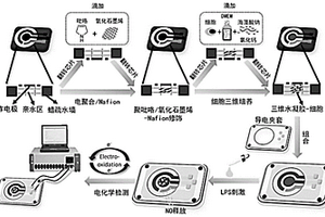 三维细胞纸芯片传感器及在细菌脂多糖检测中的应用