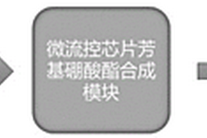 流动下通过微流控芯片进行芳基硼酸酯合成的连续化学反应的系统和方法