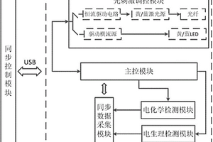 光调控神经信息检测系统