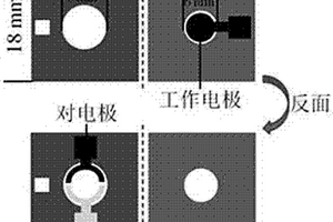 检测唾液中EGFR突变的纸芯片传感器的构建