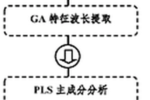 假高粱及其近似物种的快速检测方法