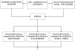 基于BP人工神经网络的近红外光谱糖度检测方法及系统