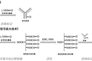用于检测神经丝轻链的试剂盒及其方法与应用
