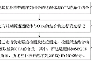 OTA适配体及其互补序列及OTA荧光检测方法