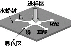 尿结石风险因子检测纸芯片及其制备方法