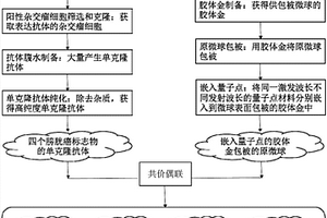 同时检测尿液中四个膀胱癌标志物的蛋白芯片的制备方法