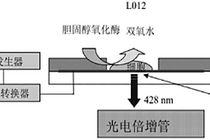 微电极阵列及其在检测单细胞表面活化胆固醇上的应用