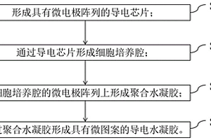 导电水凝胶的制备方法及其细胞阻抗传感检测方法