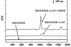 表面增强拉曼散射检测体系的构建方法