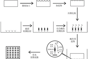 微孔板、基于微孔板的高灵敏度免疫荧光检测方法