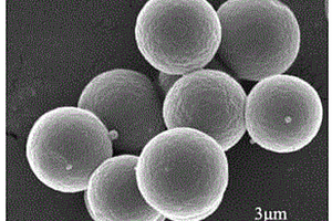 基于分子印迹柱和重量体系的羟基多氯联苯检测方法