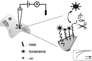 检测·OH的玻璃纳米孔传感器及其制备和应用