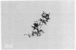 利用葡萄糖-金纳米粒子检测黄曲霉毒素B1的方法