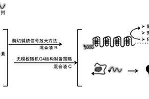 多信号检测真菌毒素的方法及试剂盒