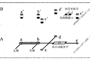 重金属离子检测芯片及制备方法