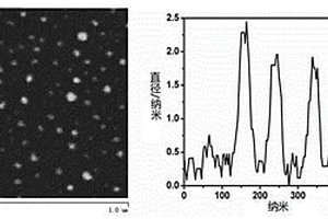 水溶性荧光硅纳米粒子检测次氯酸根的方法