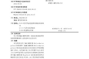 用于检测幽门螺杆菌和/或克拉霉素抗性特征的肽核酸探针，试剂盒和方法及应用
