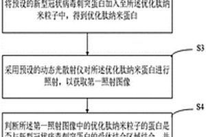 采用金纳米颗粒测试新冠病毒的检测方法
