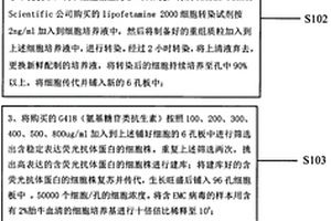 荧光抗体标记的Vero细胞定量检测EMC病毒滴度的方法