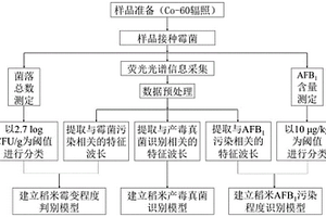 基于激光诱导荧光的稻米霉菌及黄曲霉毒素B1污染同步检测方法