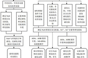 铁矿对水稻土硝化过程氧化亚氮排放的生物化学耦合影响研究方法