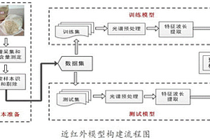 合浦珠母贝近红外活体无损检测方法