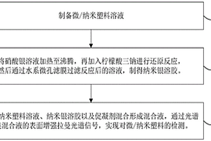 微/纳米塑料的表面增强拉曼光谱检测方法