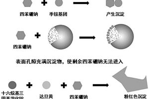 季铵型树脂外表面季铵基团密度的检测方法