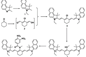 用于检测谷胱甘肽巯基转移酶荧光分子探针的制备方法和应用