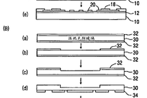 电学地检测生理活性物质的方法和用于该方法的生物芯片
