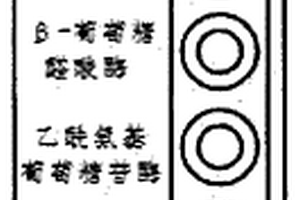 阴道炎检测试剂盒及其制备方法
