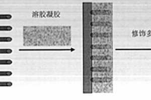 用于减肥保健品中违禁药物检测的纳米增效分子印迹膜电极