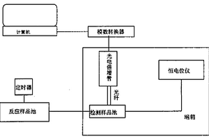 多元基因探针检测转基因的方法及其装置