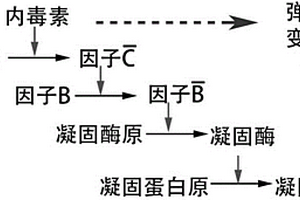 内毒素含量的检测方法
