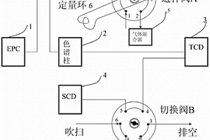 SF6气相色谱检测系统及方法