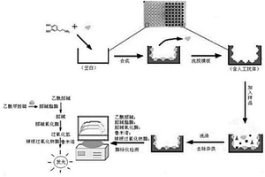 检测乙酰甲胺磷的方法和试剂盒