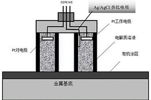 有机涂层耐蚀性原位检测的便携式装置及方法