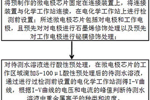 重金属离子检测方法及系统