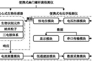 结合夹心式生物传感器的便携式幽门螺杆菌检测仪