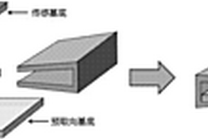 DNA液晶生物传感器及其制备方法和检测方法