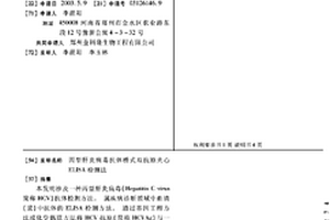 丙型肝炎病毒抗体桥式双抗原夹心ELISA检测法