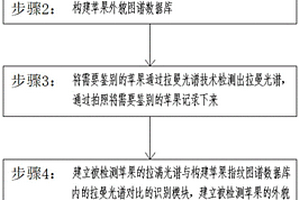 基于拉曼光谱技术与化学计量法的苹果身份识别方法